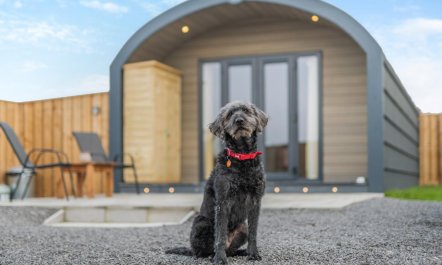 1 Bed in East Cowton