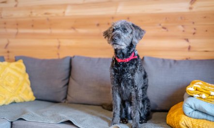 1 Bed in East Cowton 9