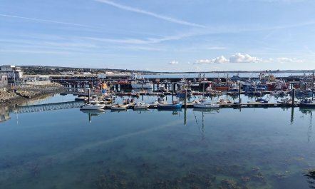 2 Bed in Newlyn 5