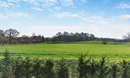 2 Bed in Southwell 7