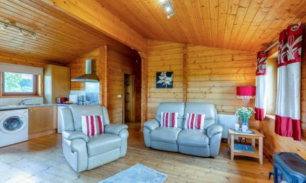 1 Bed in Llandinam 4