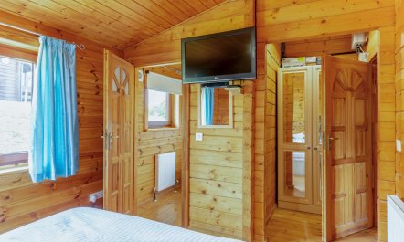 1 Bed in Llandinam 8