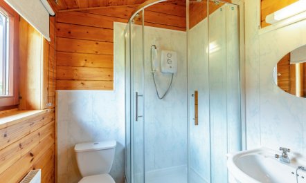 1 Bed in Llandinam 9