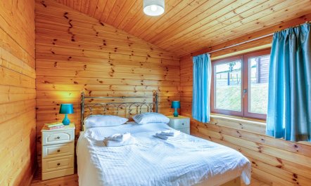 1 Bed in Llandinam 7