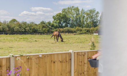 2 Bed in Snettisham 8