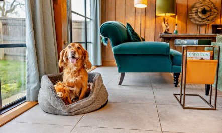 1 Bed in Downton-on-the-Rock 9