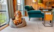 1 Bed in Downton-on-the-Rock 9