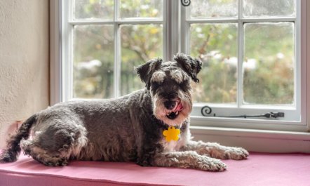 2 Bed in Higher Clovelly 8