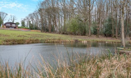 1 Bed in Far Forest 2