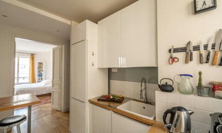 Parisian Perspective 8