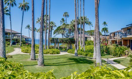 Grandest Island Joy 2