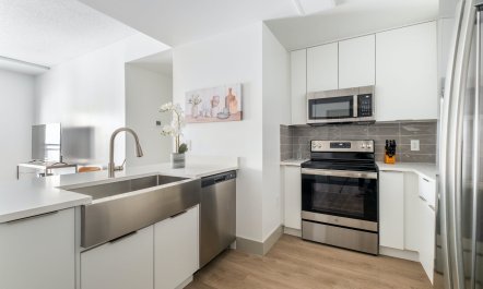 Gardenia Harmony 5