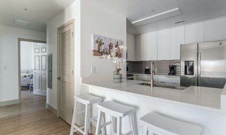 Gardenia Harmony 6