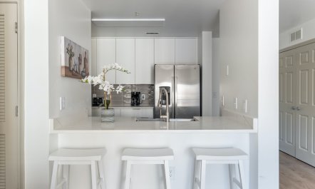 Gardenia Harmony 1