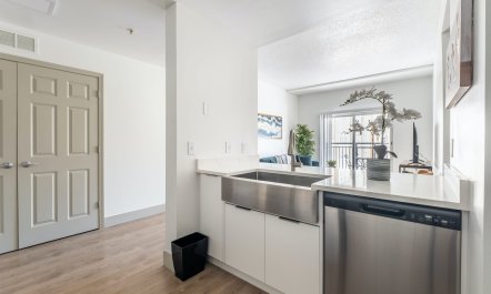 Gardenia Harmony 8