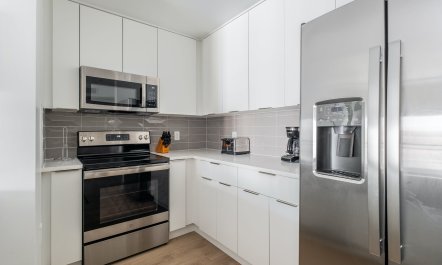 Gardenia Harmony 7
