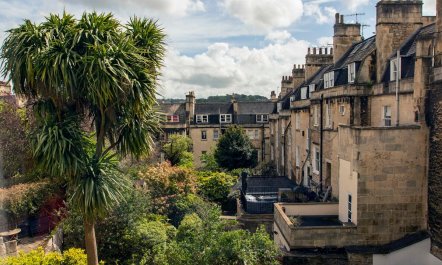 The Georgian Beauty 8