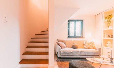 Lavender & Juniper 3