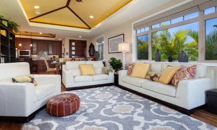 Doors to the Tropics 1