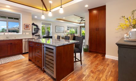 Doors to the Tropics 6