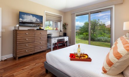 Doors to the Tropics 8