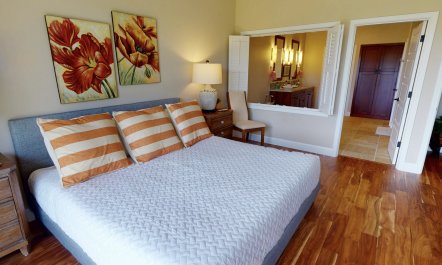 Doors to the Tropics 9