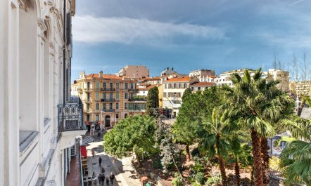 Light of Cannes 1