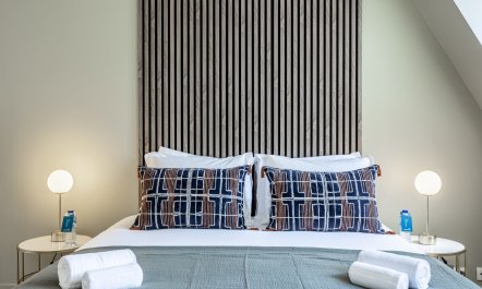 &Eacute;lys&eacute;es & Triomphe 1