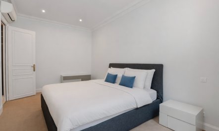 The Parisian Belle 5