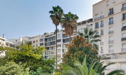 Cannes Crown 2
