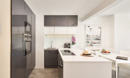 Waterfront Penthouse 1