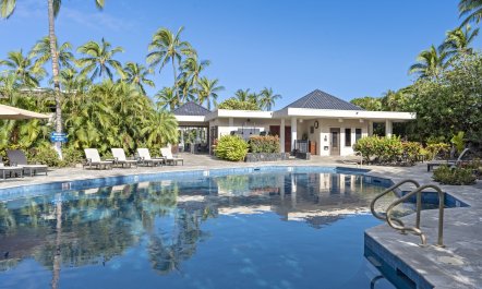 Palm Trees & Lawns 1