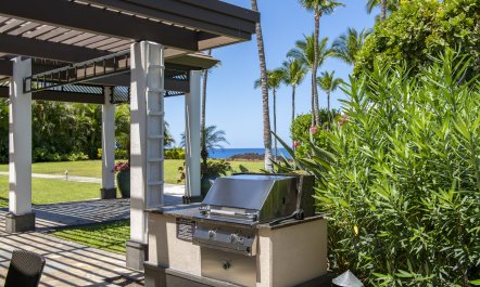 Palm Trees & Lawns 2