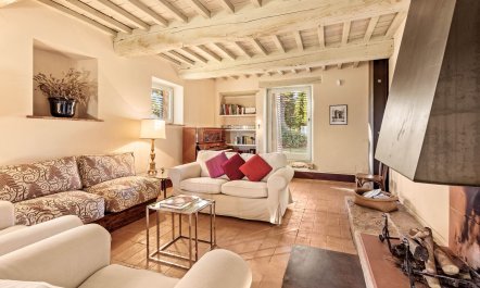 Charming Green Acre 7