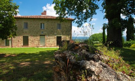 Charming Green Acre 4