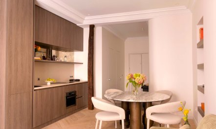 Parisian Street View 4