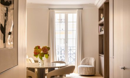 Parisian Street View 3