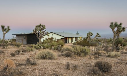 Yucca Hut