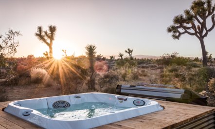 Yucca Hut 1