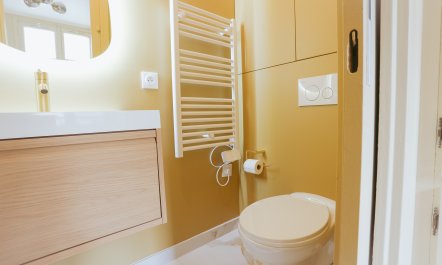 The Parisian Scene 8