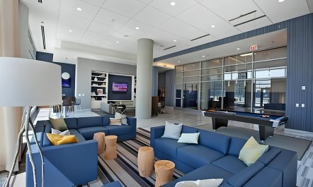 The Skyline's Vision 7