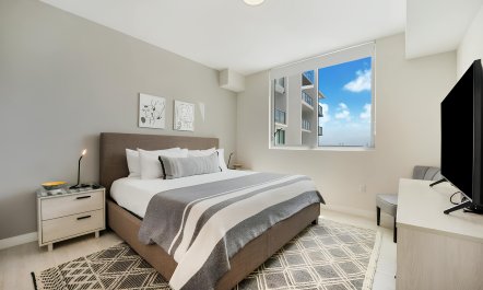 The Miami Designer 6