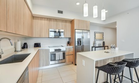 The Miami Designer 4