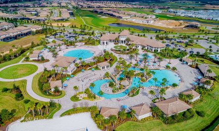 Salmon on the Shore 6