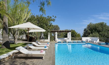 Mediterranean Sea & Palms