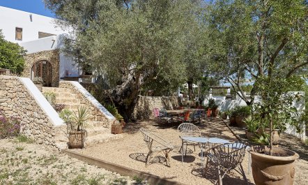 Mediterranean Sea & Palms 4