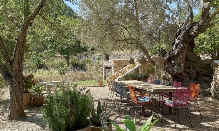 Mediterranean Sea & Palms 5