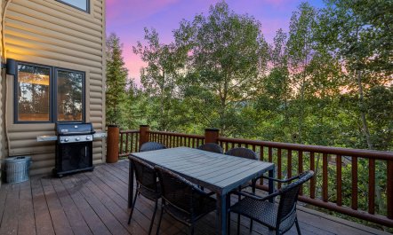 The Mountain Light 1