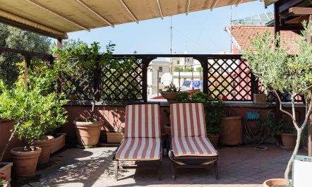 Roman Terrace Garden 1