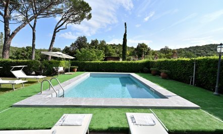 The Tuscan Pine